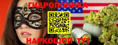 прущие грибы Балаково
