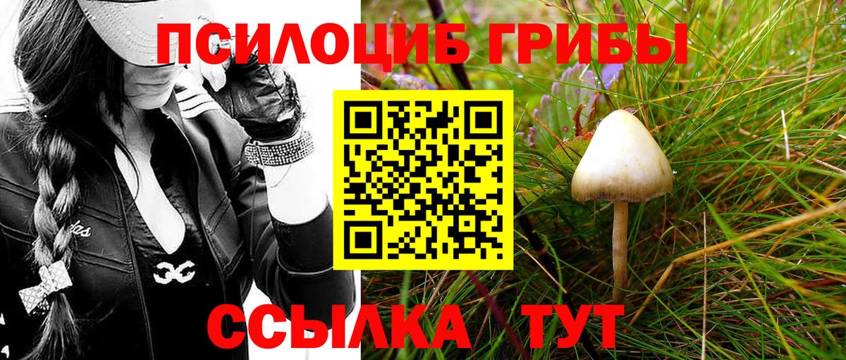 Галлюциногенные грибы GOLDEN TEACHER Ессентуки