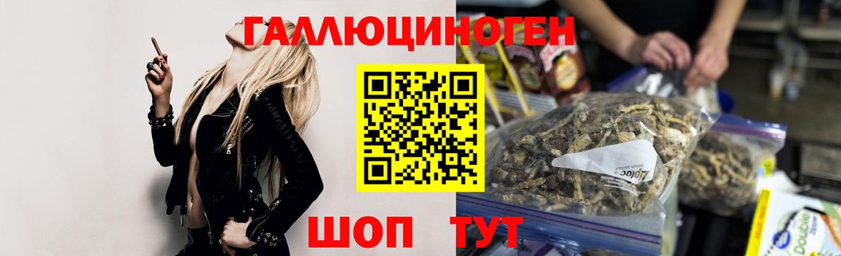 Ессентуки  Галлюциногенные грибы прущие грибы  Вход с VPN 